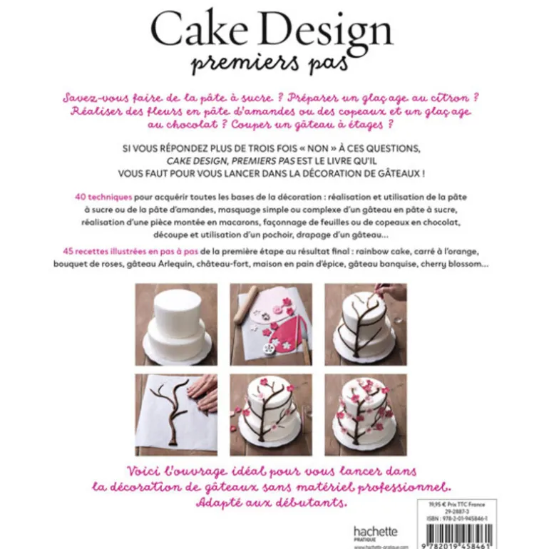 Cake design premiers pas - Sally François
