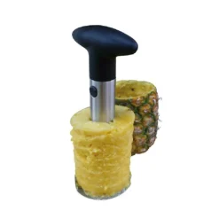 Evide ananas inox