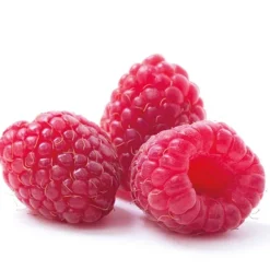 Extrait de framboise 20% 50 ml