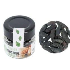Fèves Tonka Bio 15 g