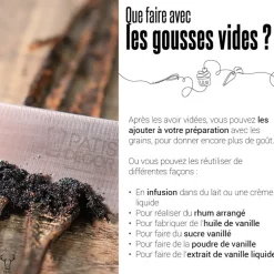 Gousse de Vanille Ouganda (x2)