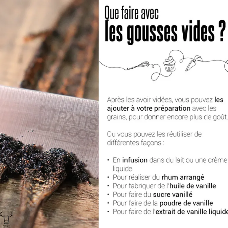 Gousse de Vanille Papouasie (x2)