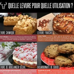 Levure de boulangerie Ancel 7 g (x3)