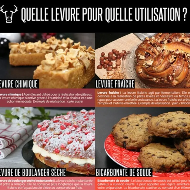 Levure instantanée spéciale pizza 125 g - DDM 02/25