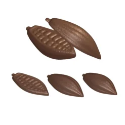 Moule chocolat cabosses