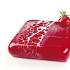 Moule silicone Mars Pavoni