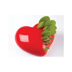 Moule silicone Passion Pavoni