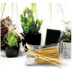 Sachets plats polypropylène - 150 x 270 mm (x100)