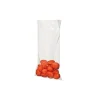 Sachets polypropylène - 70 x 130 mm (x100)
